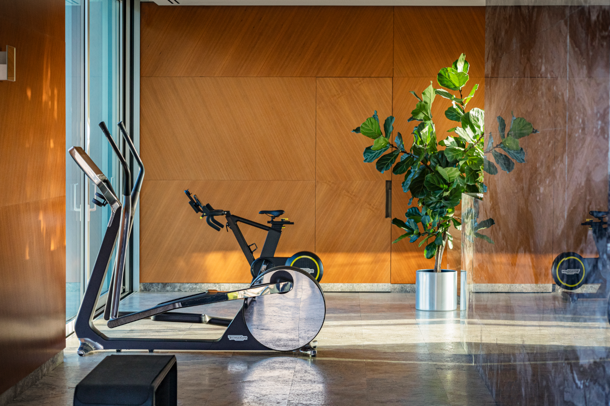 Technogym's Cross Personal and Skill Bike