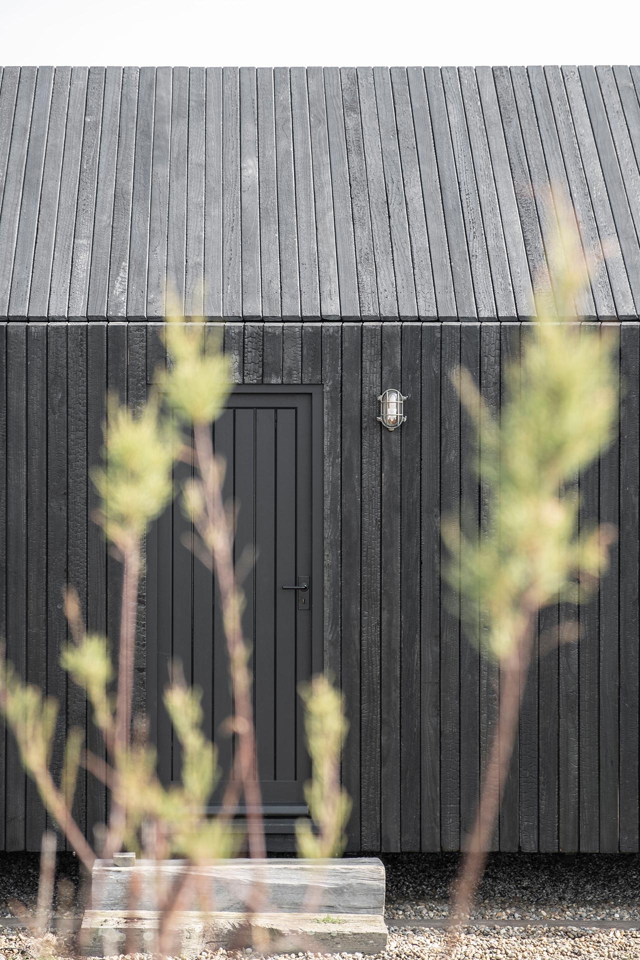 Black timber entrance door with planting