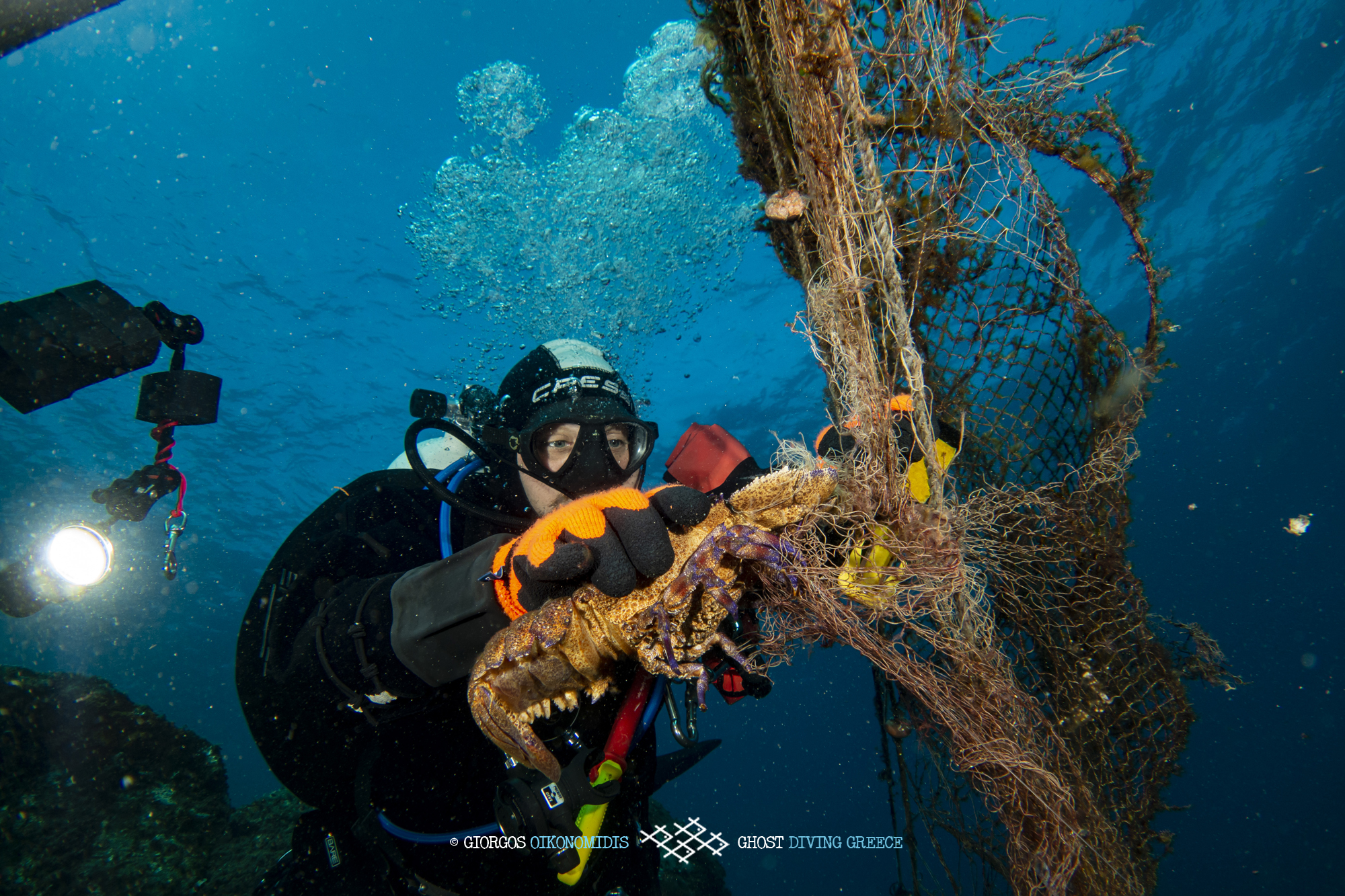 Healthy Seas - Lobster caught in abandoned fishing net