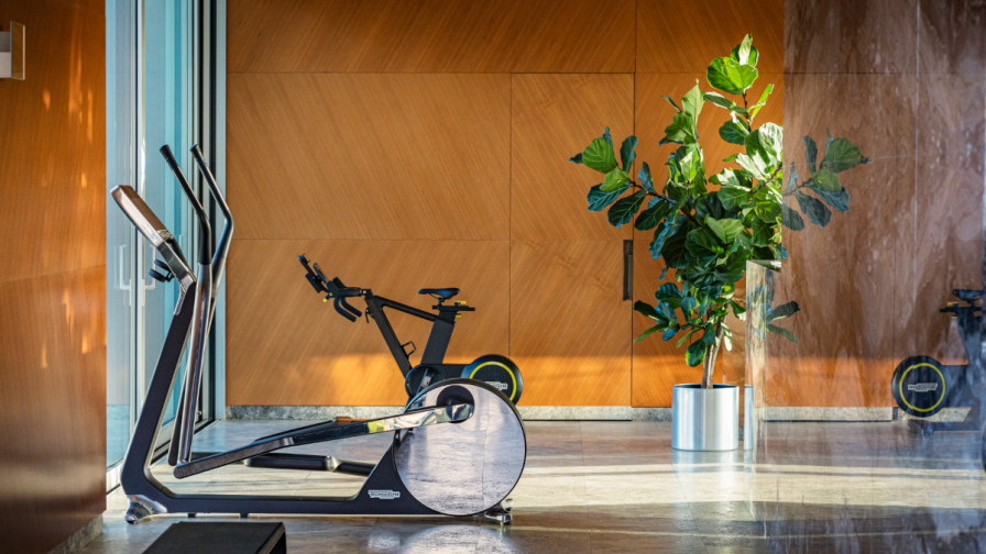 Technogym's Cross Personal and Skill Bike